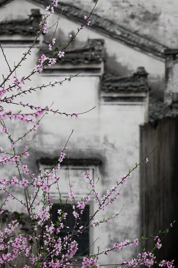 1585794067856332.png QQ圖片20200401161122.png