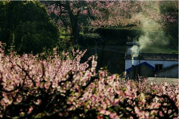 1585794100100909.png QQ圖片20200401161154.png