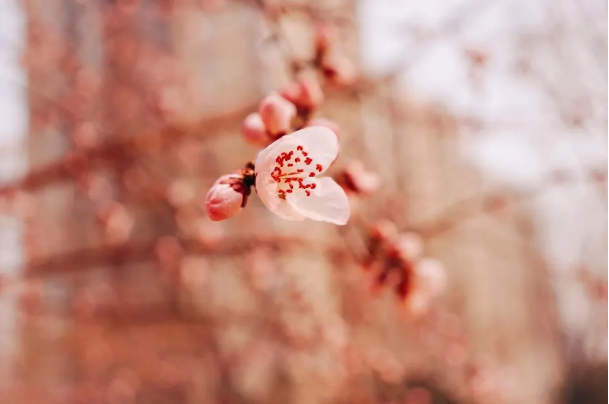 1585794142120656.png QQ圖片20200401161313.png