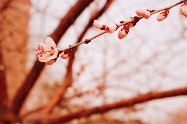 1585794151108384.png QQ圖片20200401161348.png