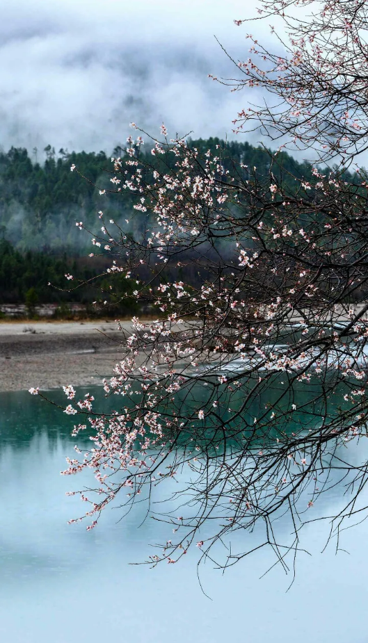 1585794230140012.png QQ圖片20200402101233.png