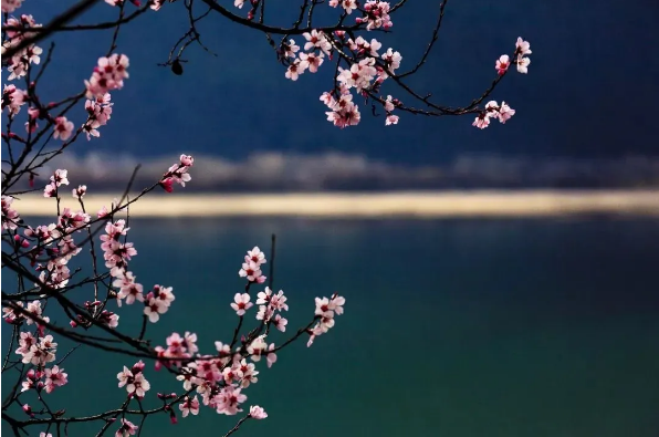 1585794286644185.png QQ圖片20200401161627.png