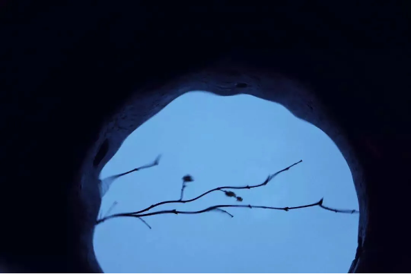 1585794309715618.png QQ圖片20200401161803.png