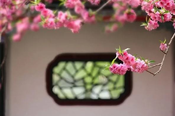 1585794319425024.png QQ圖片20200401161822.png