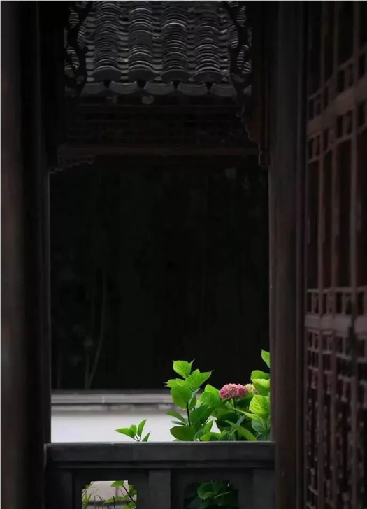 1590025822386683.png QQ圖片20200521091315.png