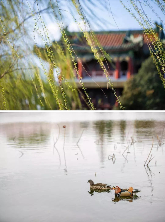 1590025835300792.png QQ圖片20200521091348.png