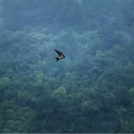 1590025938171739.png QQ圖片20200521091535.png