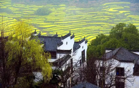 1590025968896997.png QQ圖片20200521091613.png