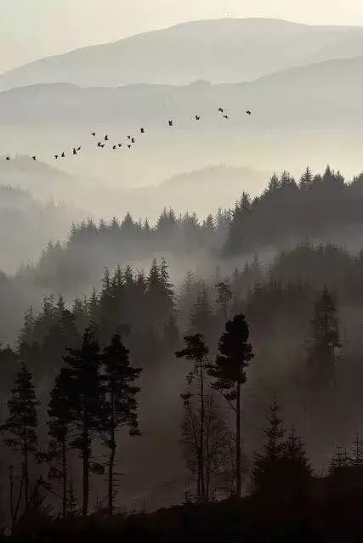 1590025978135989.png QQ圖片20200521091629.png