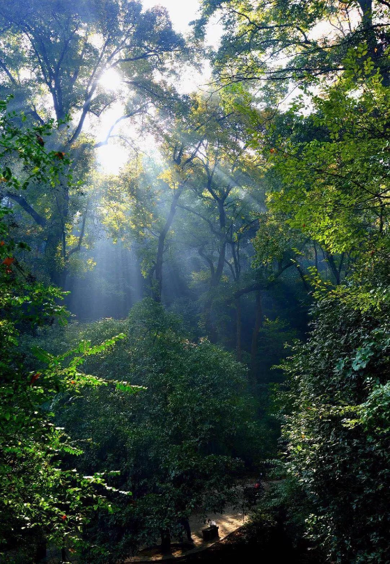 1590026073923203.png QQ圖片20200521091854.png