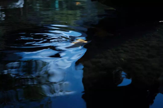 1590026158104489.png QQ圖片20200521091952.png