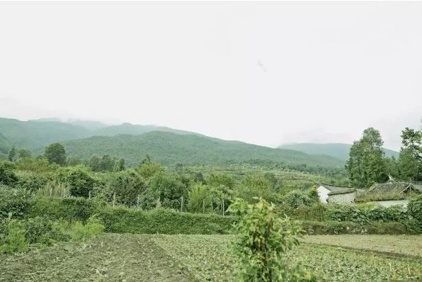 1591842998272649.png QQ圖片20200610111345.png