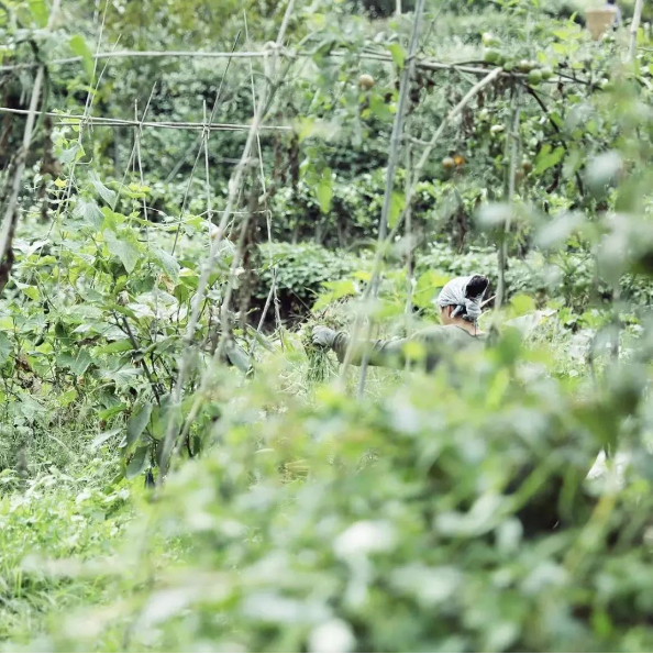 1591843035109016.png QQ圖片20200610111439.png