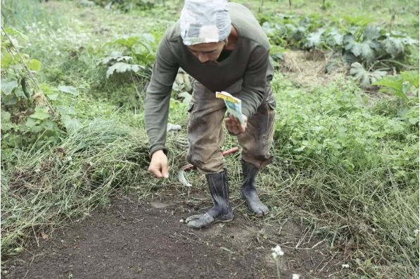 1591843060101555.png QQ圖片20200610111506.png