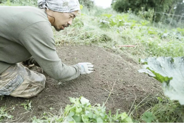 1591843071455964.png QQ圖片20200610111530.png