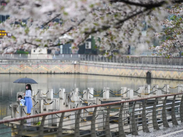 1591854827754218.png QQ圖片20200611103933.png