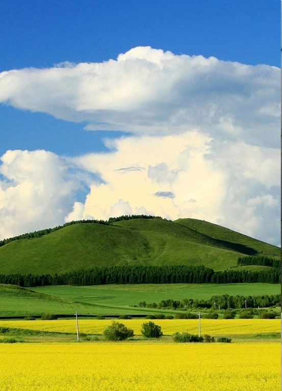 1597041995735456.png QQ圖片20200810141928.png