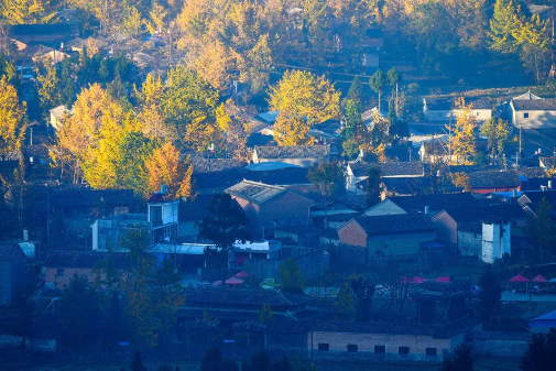 1597042100794495.png QQ圖片20200810142040.png