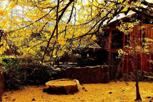 1597042121716091.png QQ圖片20200810142246.png