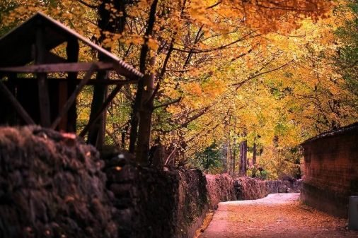 1597042130894587.png QQ圖片20200810142309.png