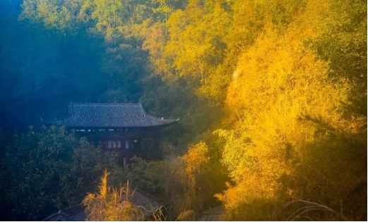 1597042139784684.png QQ圖片20200810142331.png