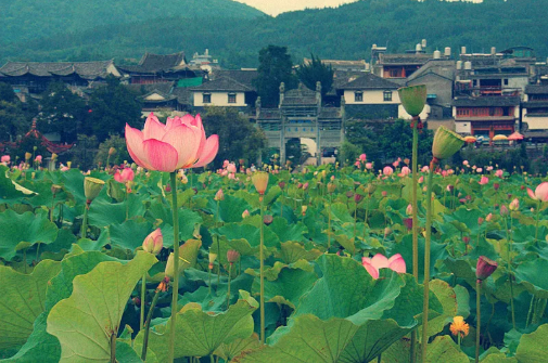 1597042169833826.png QQ圖片20200810143055.png