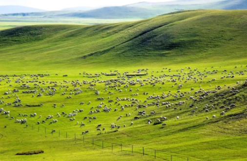 1597042193501363.png QQ圖片20200810143252.png