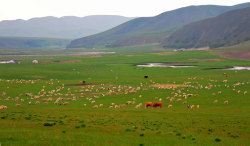 1597042205309441.png QQ圖片20200810143416.png