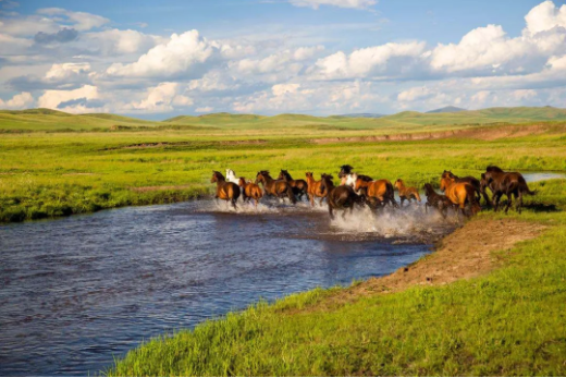 1597042214167694.png QQ圖片20200810143436.png