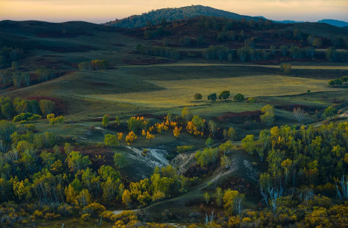 1597042239340080.png QQ圖片20200810143456.png