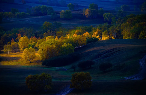 1597042249125502.png QQ圖片20200810143515.png