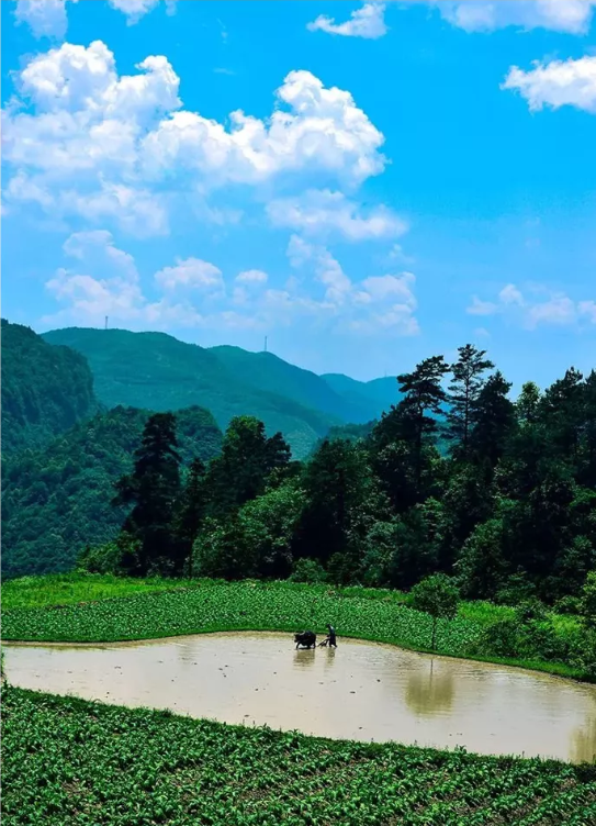 1600757752521588.png QQ圖片20200922144432.png