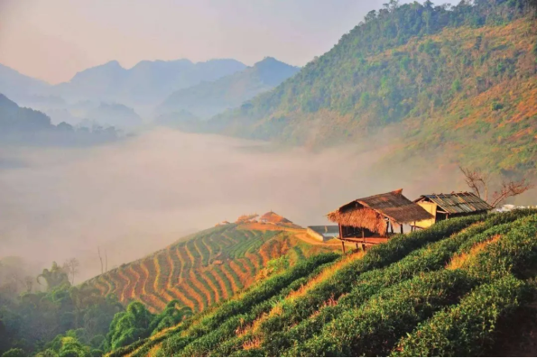 1600757852114658.png QQ圖片20200922144612.png