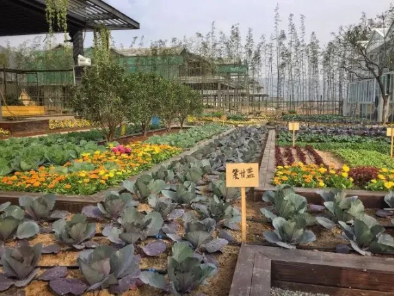 1600757899115785.png QQ圖片20200922144732.png