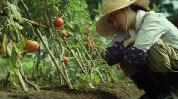 1600757931395419.png QQ圖片20200922144812.png