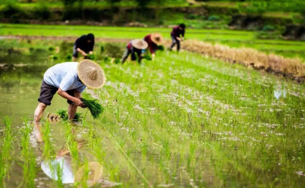 1600757947528860.png QQ圖片20200922144845.png