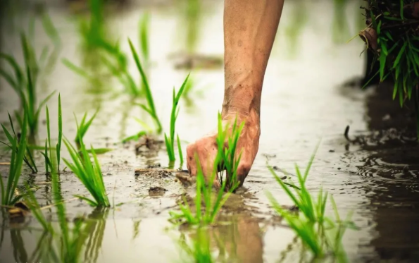 1600757972191878.png QQ圖片20200922144906.png