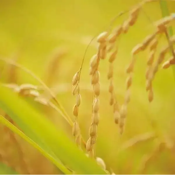 1600757982106387.png QQ圖片20200922144922.png