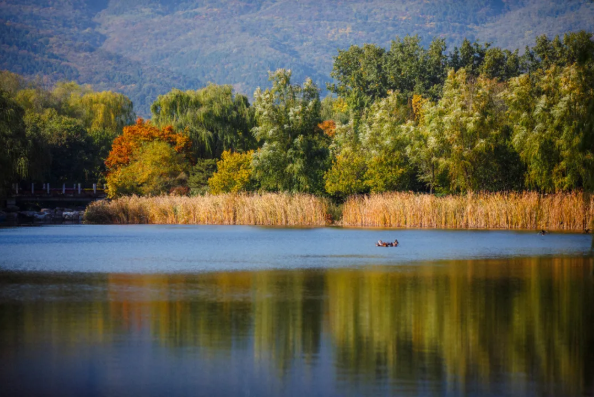 1600928979782748.png QQ圖片20200924140404.png