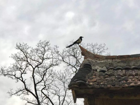 1600928987114727.png QQ圖片20200924140423.png