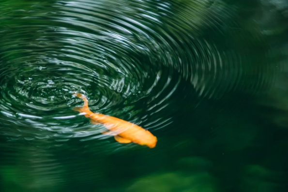 1600928995172600.png QQ圖片20200924140440.png