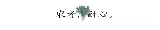 1604989698112691.png QQ圖片20201110140232.png
