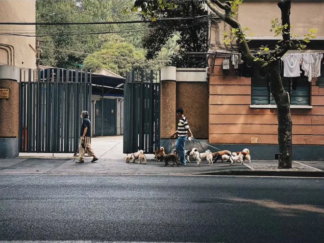 1605166017280136.png QQ圖片20201112150622.png