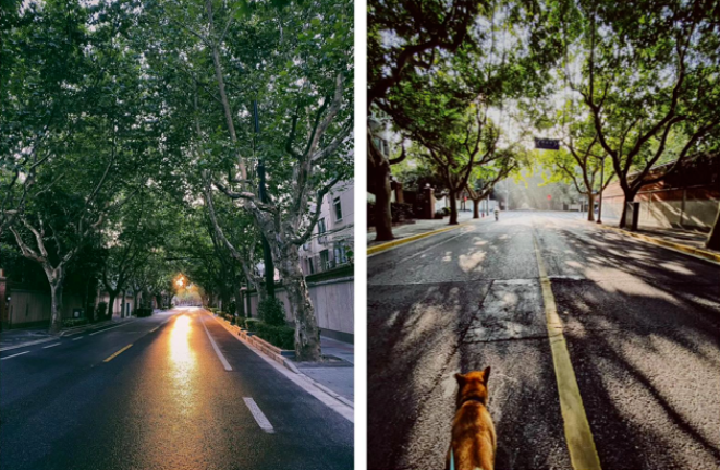 1605166028862873.png QQ圖片20201112150643.png