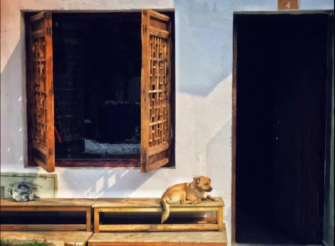 1605513553317058.png QQ圖片20201116154302.png