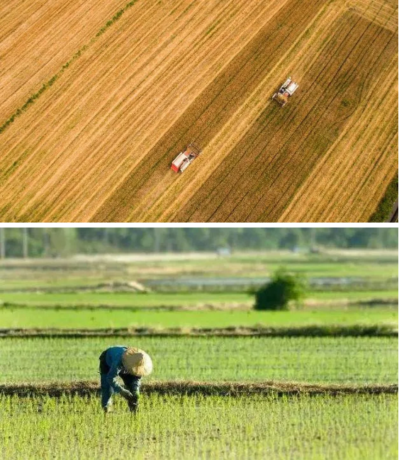 1607668251969247.png QQ圖片20201211135023.png