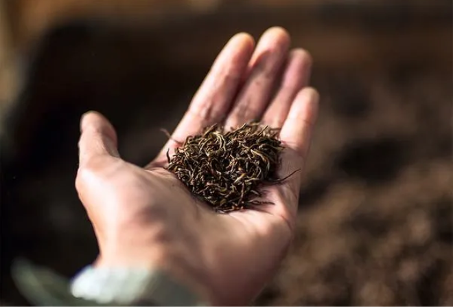 1608014779100582.png QQ圖片20201215143210.png