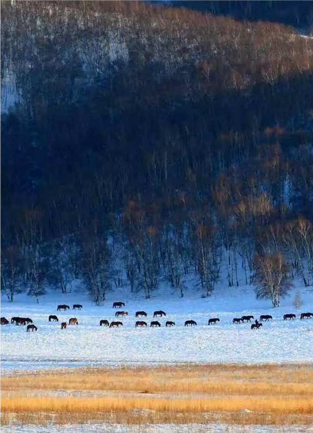 1608104703126040.png QQ圖片20201216144751.png