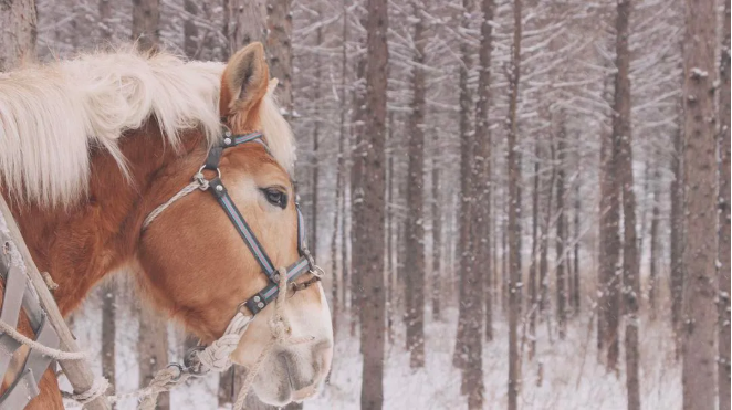 1608104732725300.png QQ圖片20201216144815.png