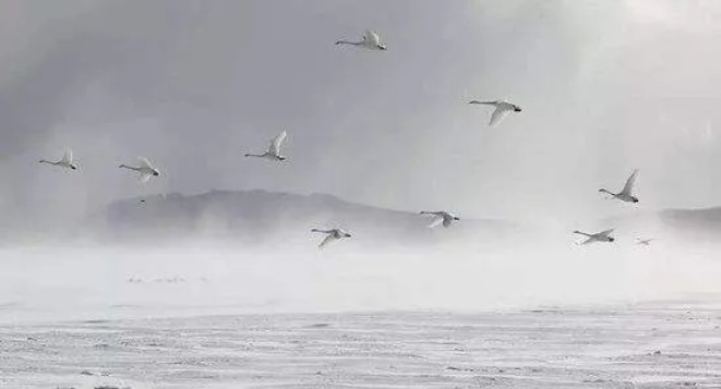 1608105269121840.png QQ圖片20201216145054.png